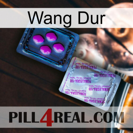 Hard Wang 37